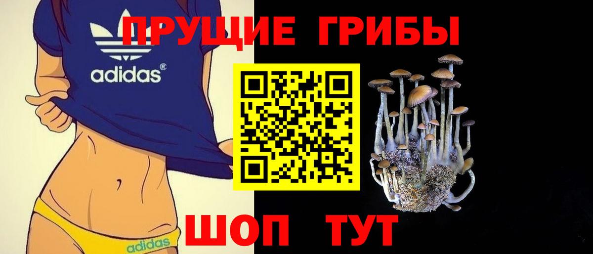 Псилоцибиновые грибы Psilocybe Волгодонск